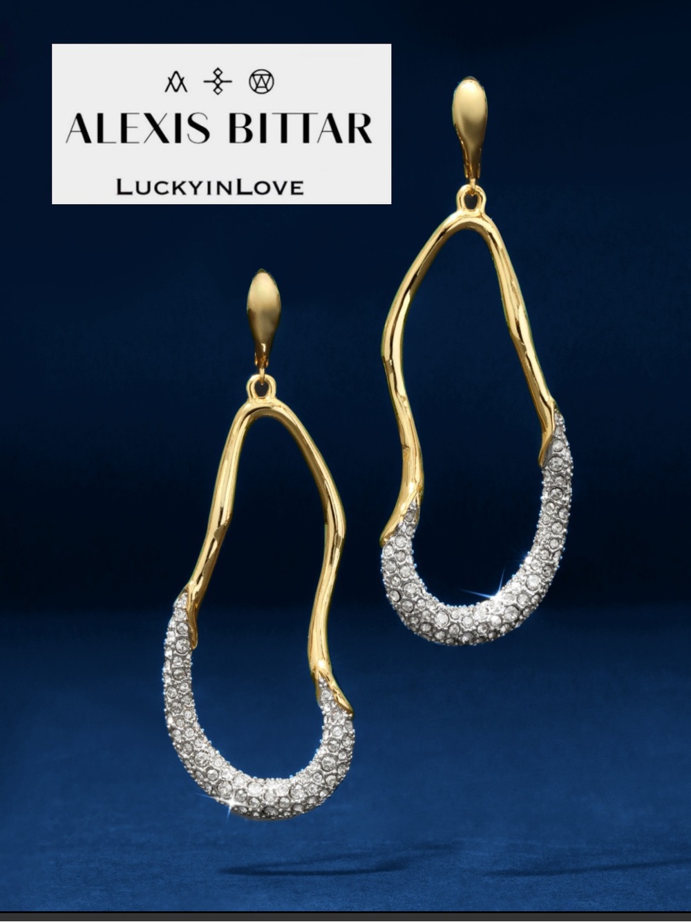 Alexis Bittar • Solanales Auriform  Ear-shaped Leverback Crystal Drop Earrings